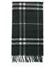 Burberry "Check" Scarf