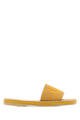 Chloé Embroidered Raffia Chlo㨠Sand Slippers