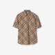 Burberry Checked Cotton Shirt
