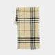Burberry Embroidered Wool Scarf