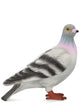 Jw Anderson Pigeon Clutch