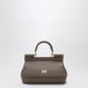 Dolce&Gabbana Small Sicily Handbag In Mud Brown