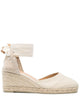 Castañer Carina Espadrilles