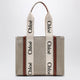 Chloé Woody Medium Bag In Beige Canvas