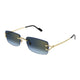Cartier Cartier Ct0550s 002