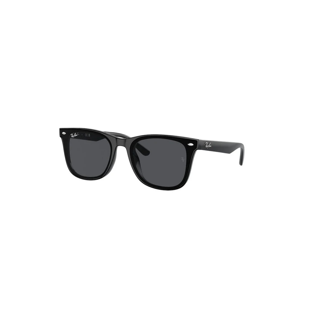 Ray-Ban Ray-Ban Rb4420 601/87