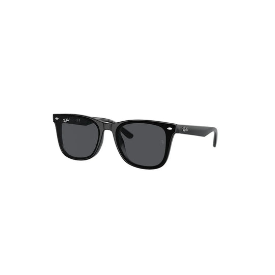 Ray-Ban Ray-Ban Rb4420 601/87