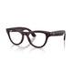 Ray-Ban Ray-Ban Meta Skyler Rw4014 6701Ch
