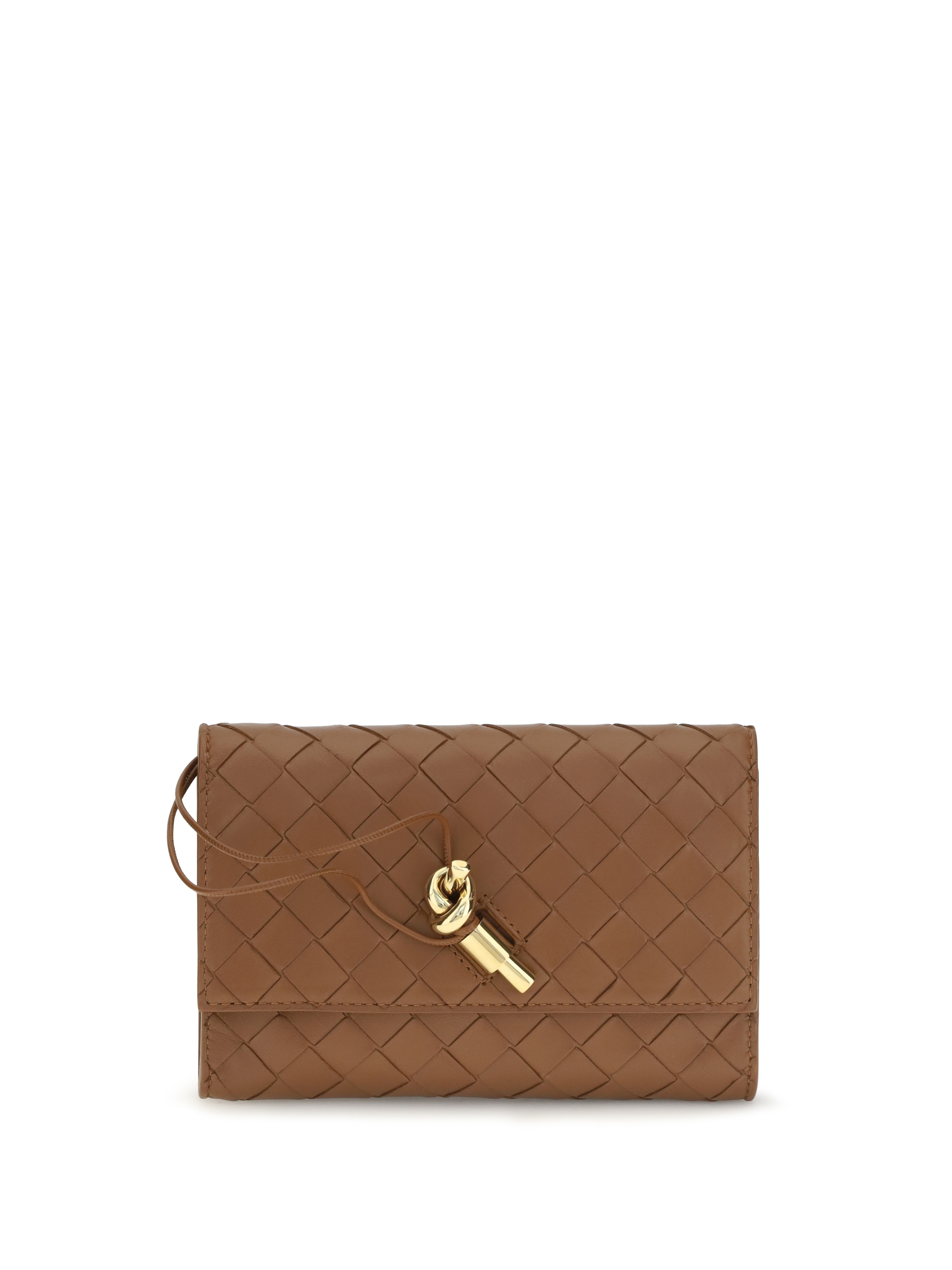 Bottega Veneta Andiamo Clutch Bag