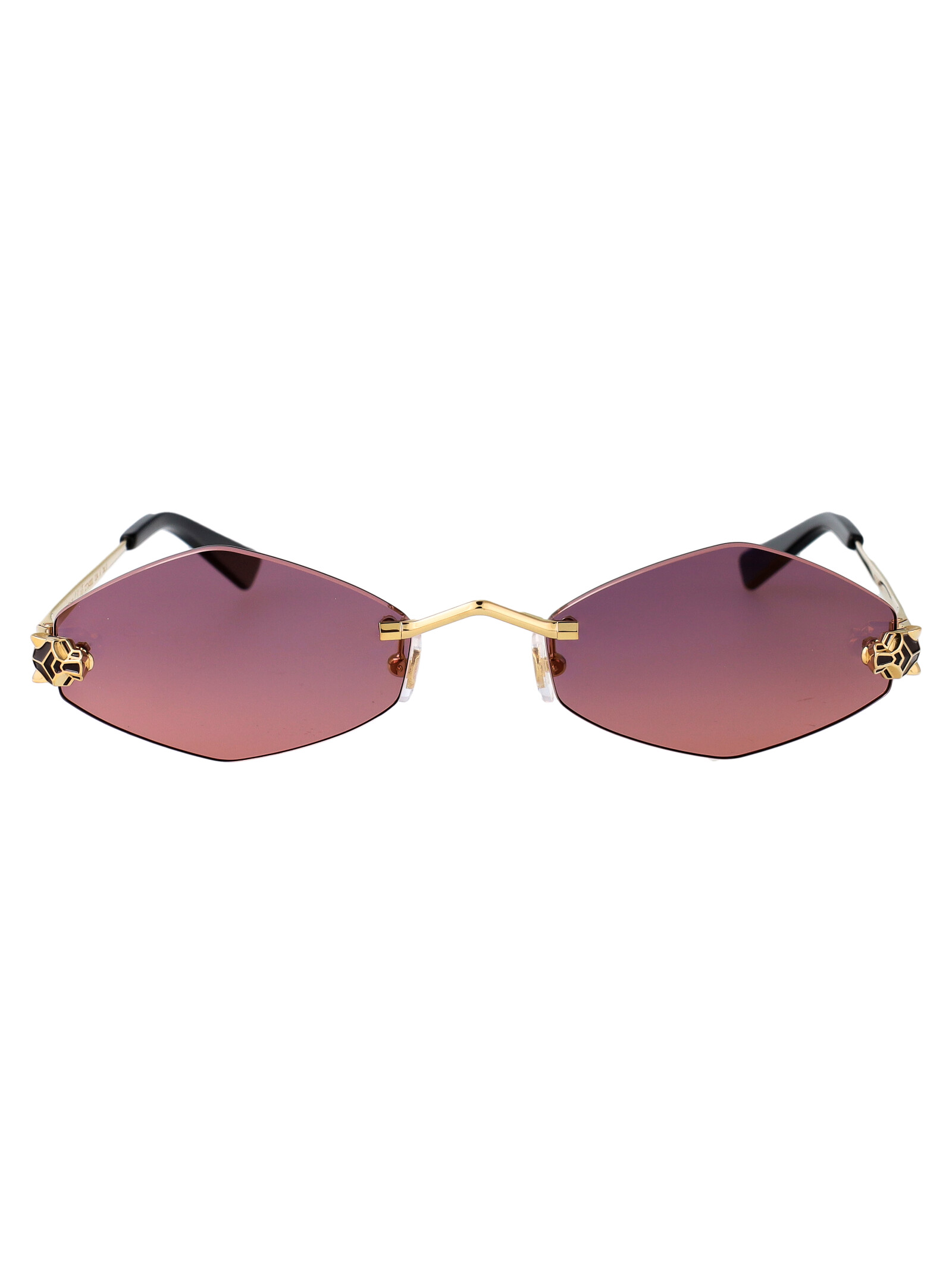 Cartier Ct0433s 004
