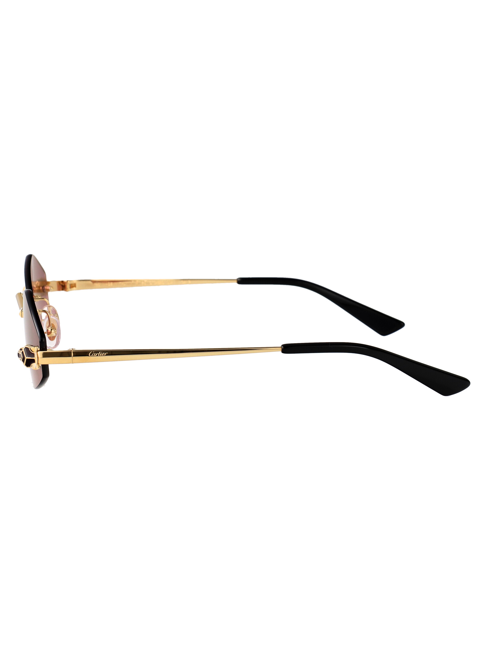 Cartier Ct0433s 004