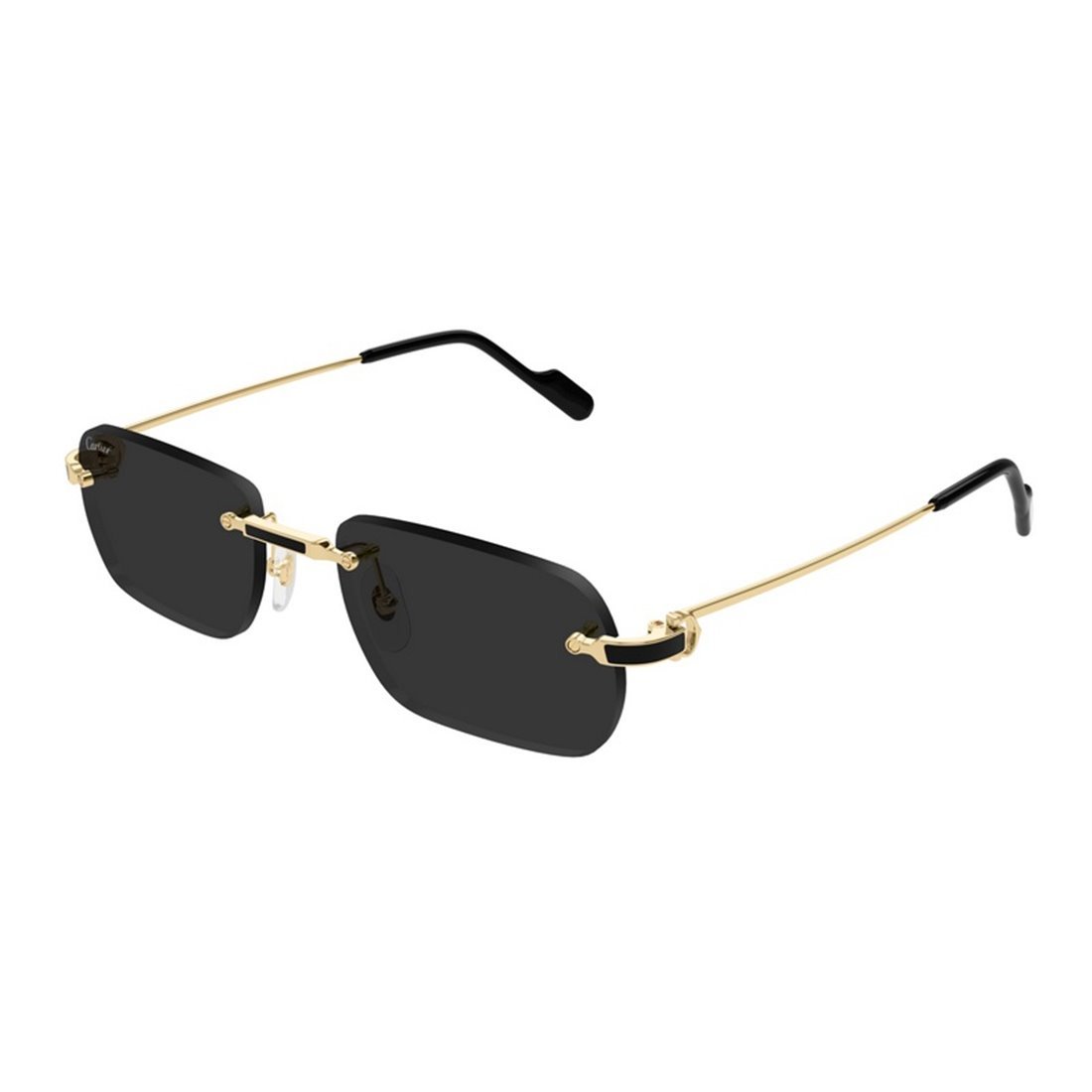 Cartier Ct0498s 001