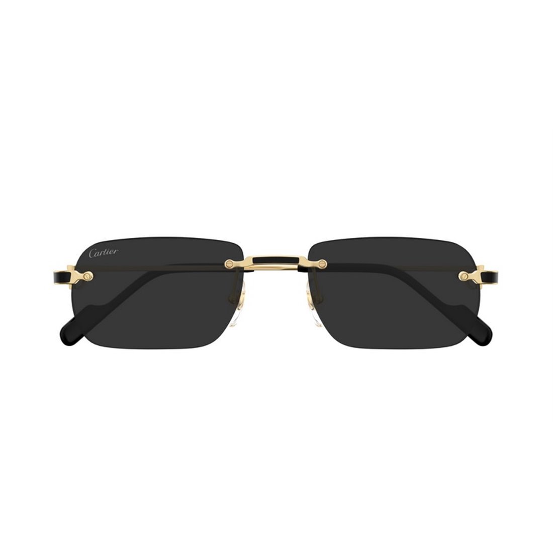 Cartier Ct0498s 001