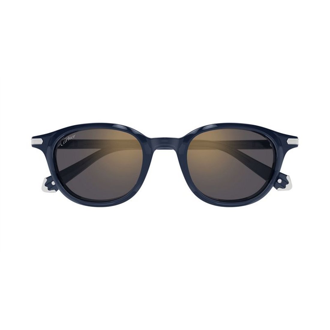 Cartier Ct0584s 003