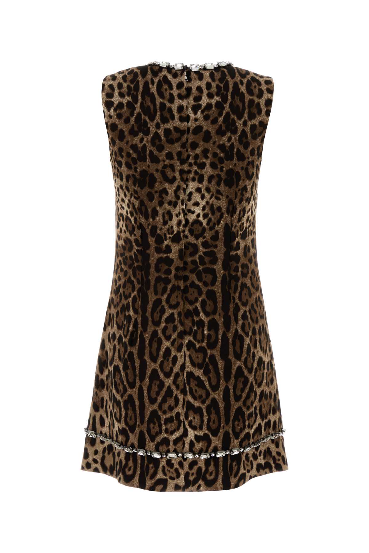 Dolce Gabbana Dolce & Gabbana Cady Str.st.leo 3 Schien