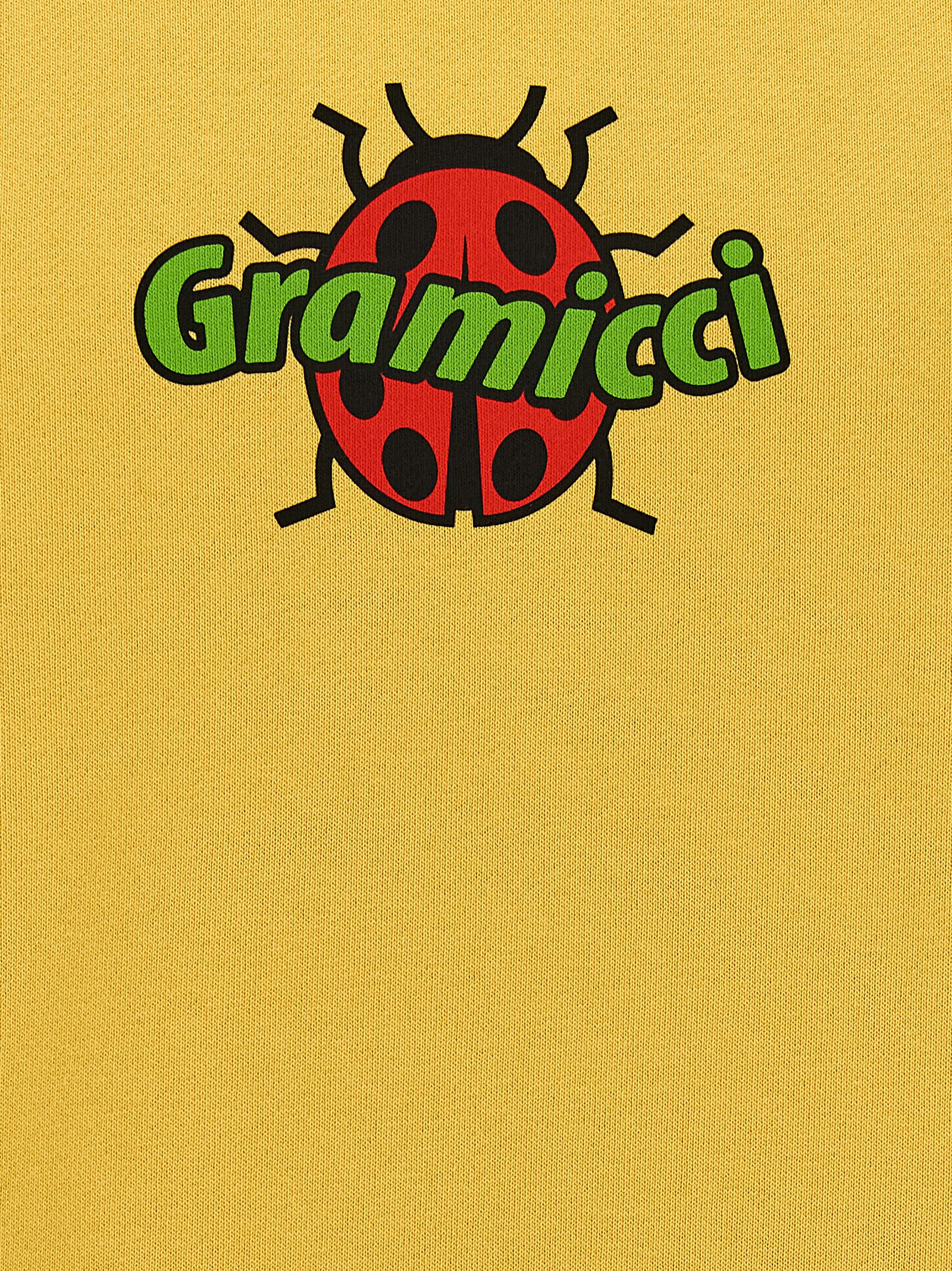 Gramicci 'Ladybug' Hoodie