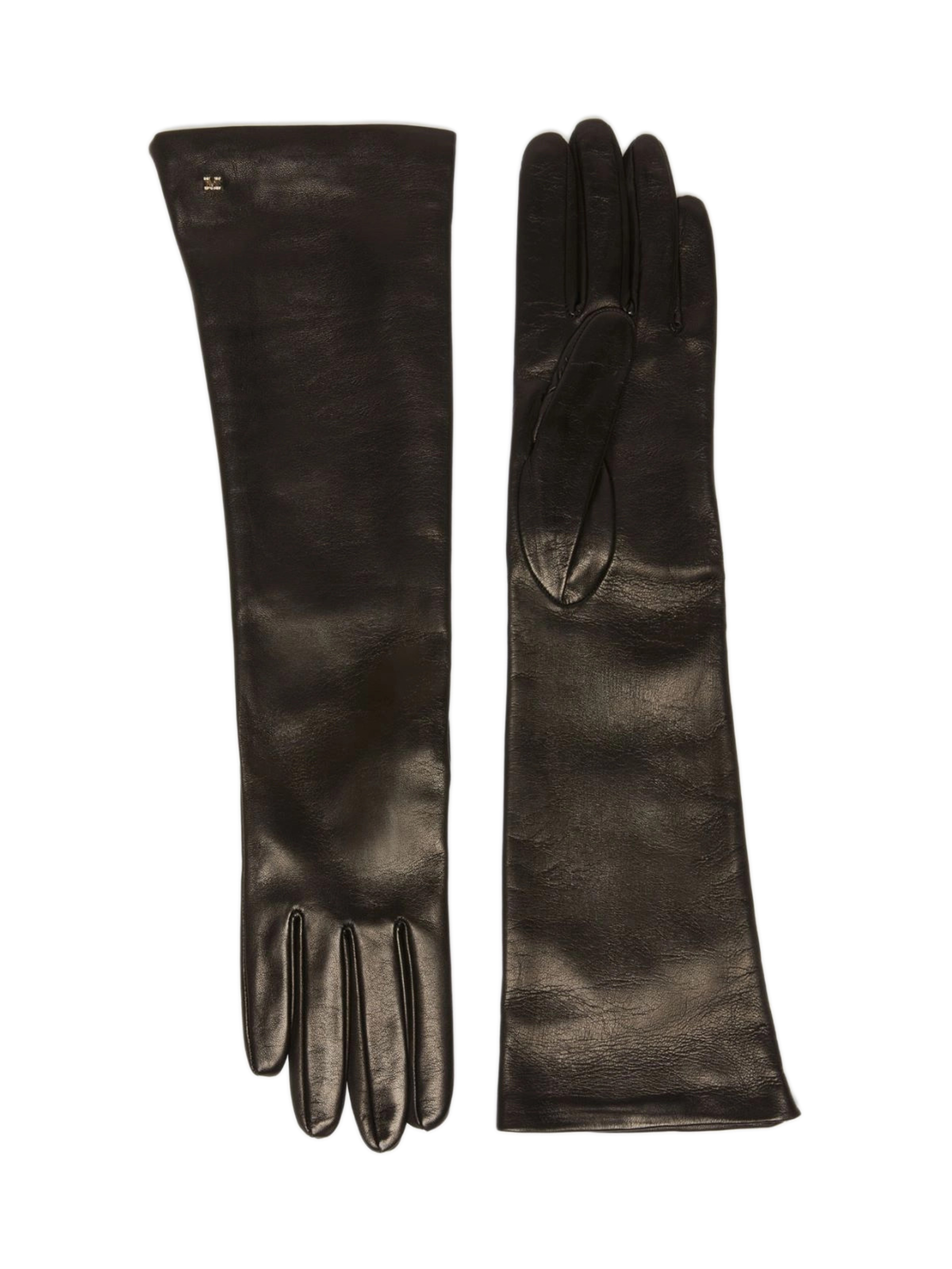 Max Mara Long Gloves Afidee
