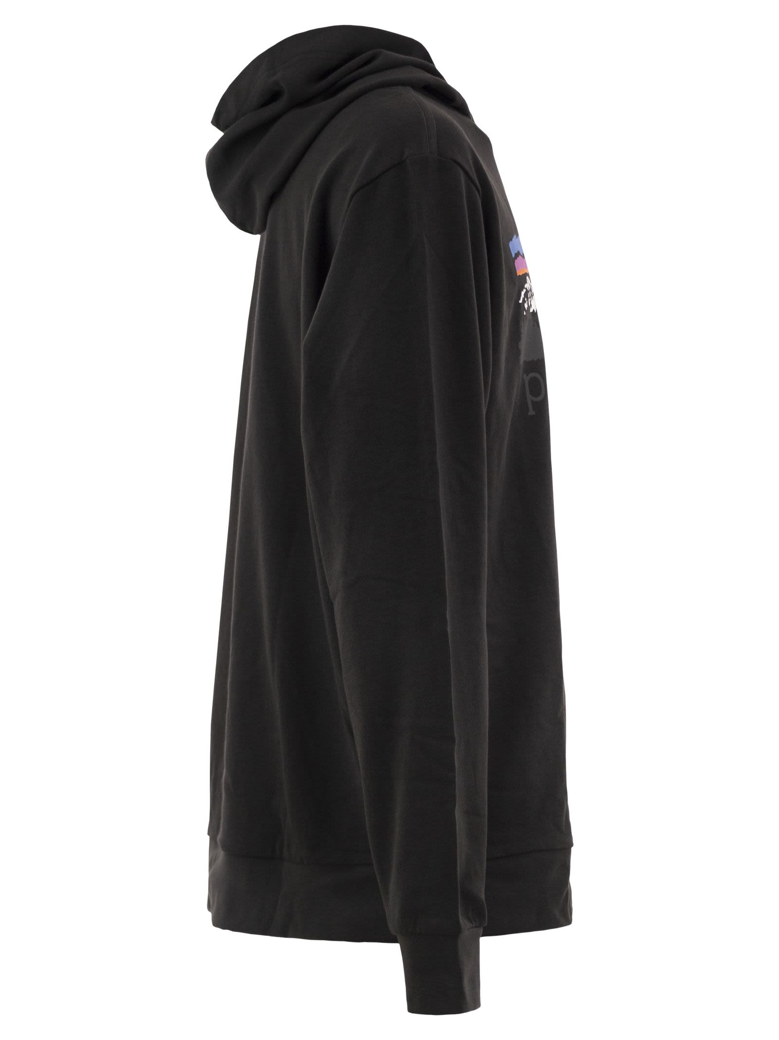Patagonia Organic Cotton Graphic Hooded Sweatshirt
