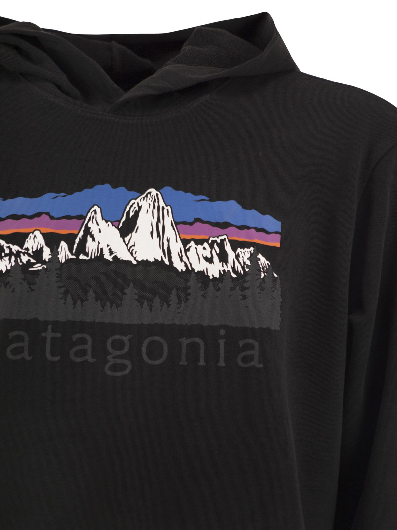 Patagonia Organic Cotton Graphic Hooded Sweatshirt