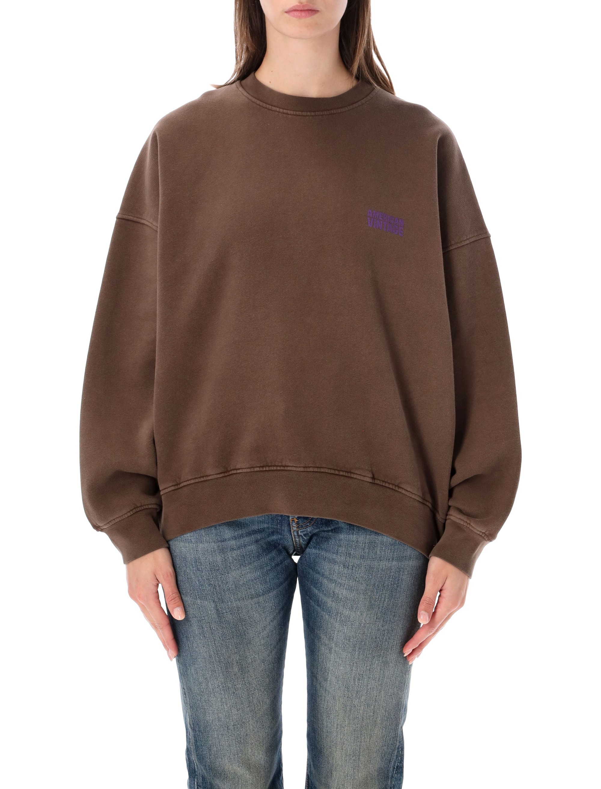 American vintage Plizzy Crewneck