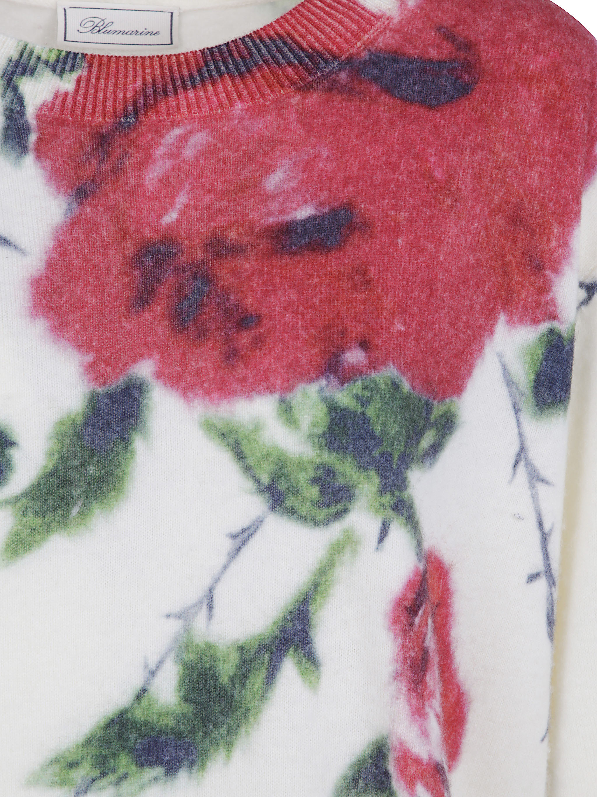 Blumarine Rose Print Sweater