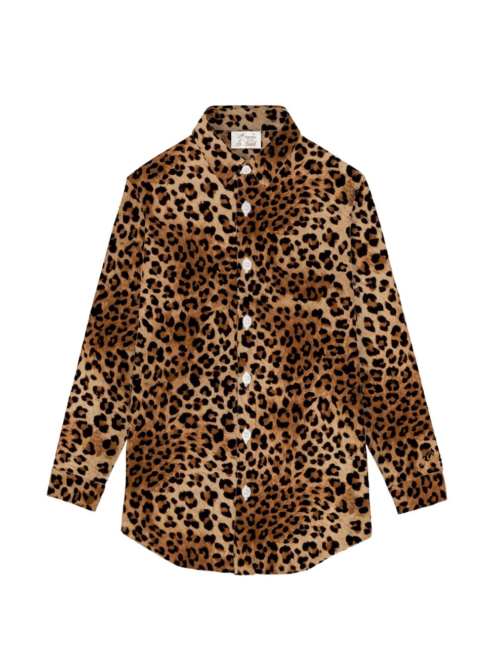 Mc2 Saint Barth Saint Barth Brown Cotton Shirt
