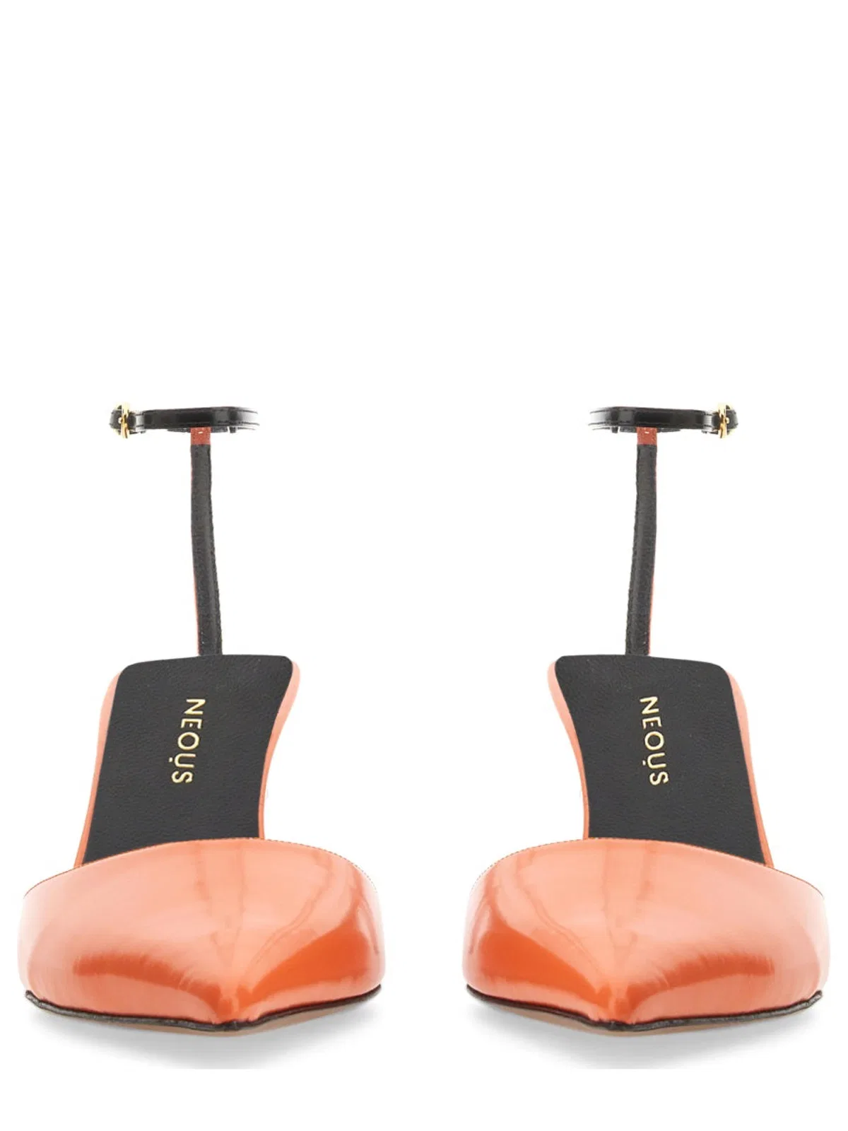 Neous Pump Toliman