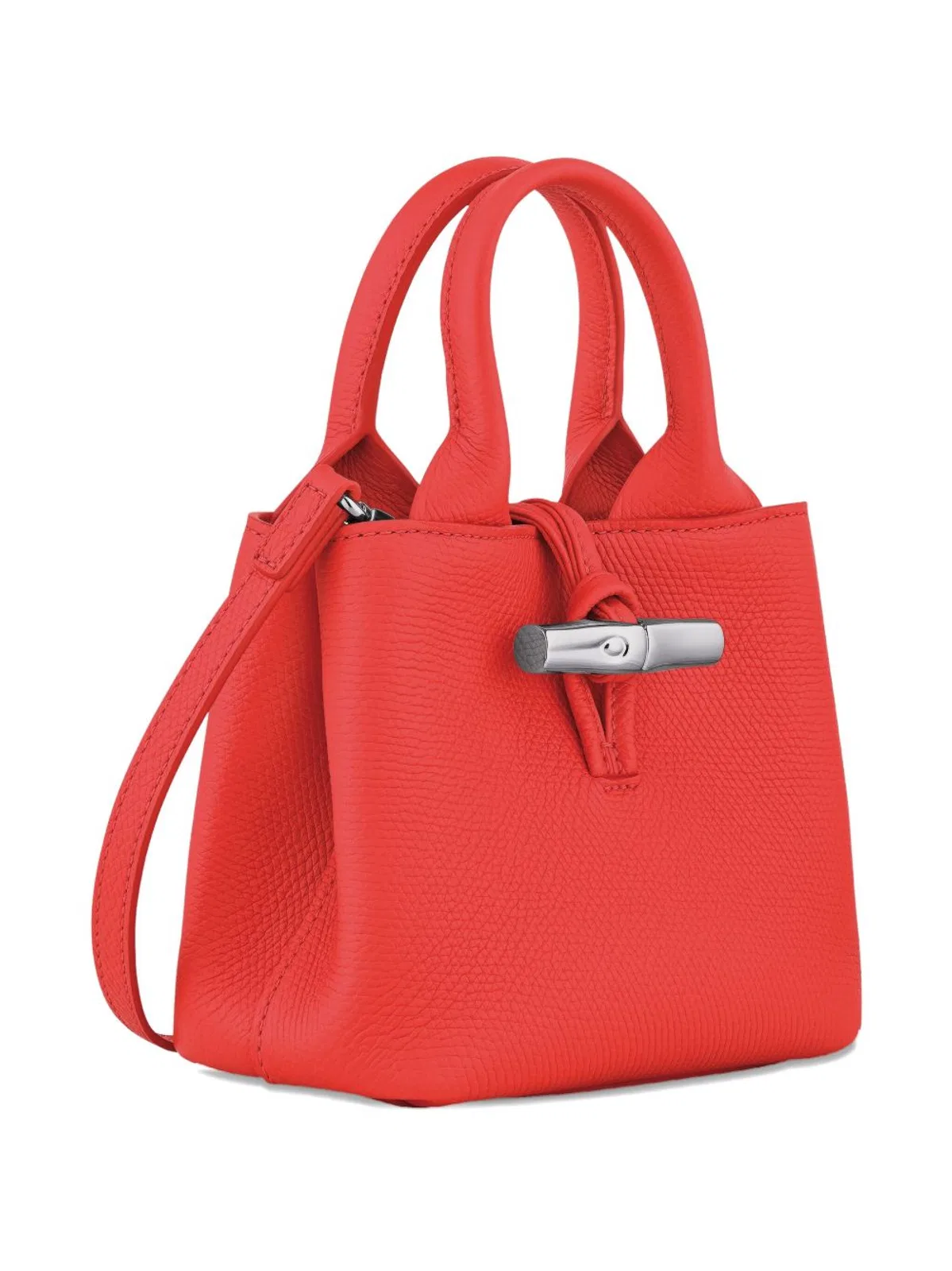 Longchamp Handbag Le Roseau Xs In Leather