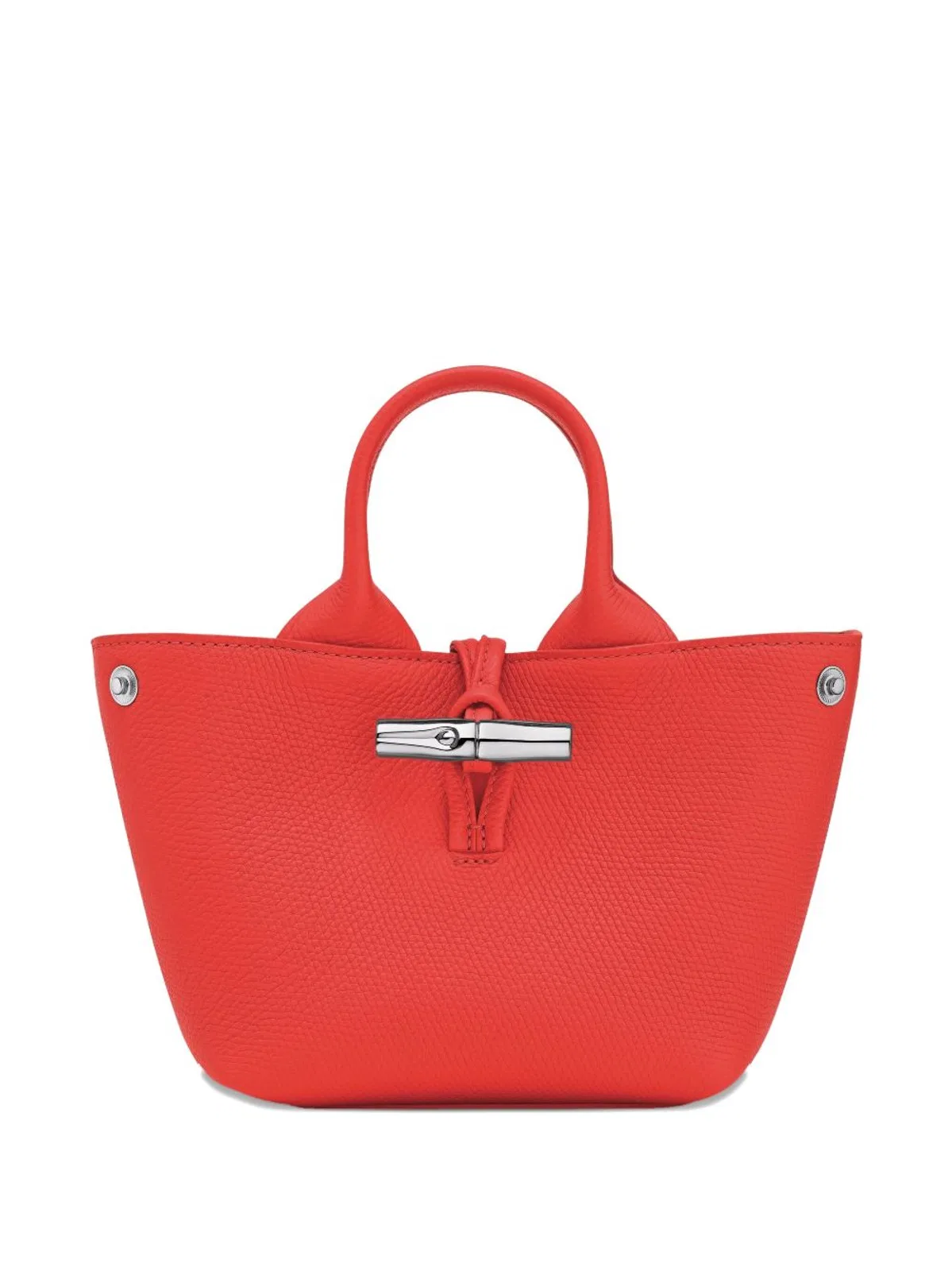 Longchamp Handbag Le Roseau Xs In Leather