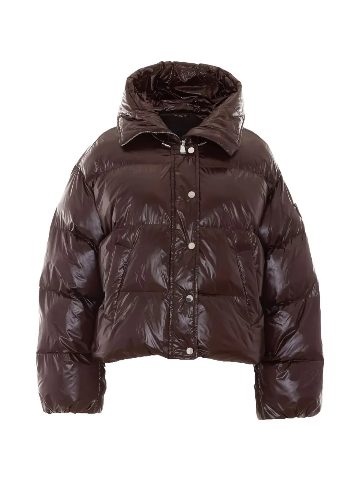 Pinko Brown Polyamide Winter Coat