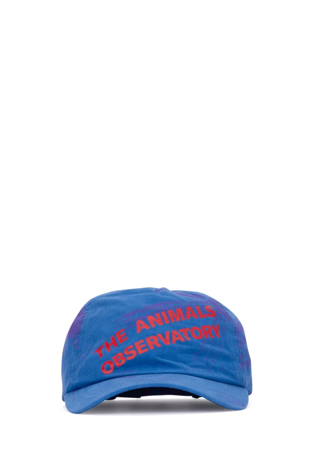 The Animals Observatory Cappello