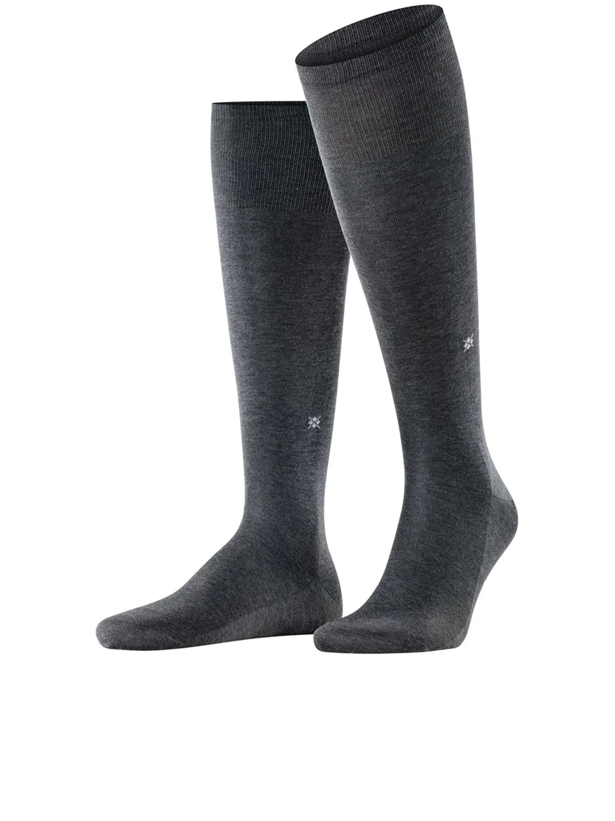 Burlington Cardiff Gambaletti