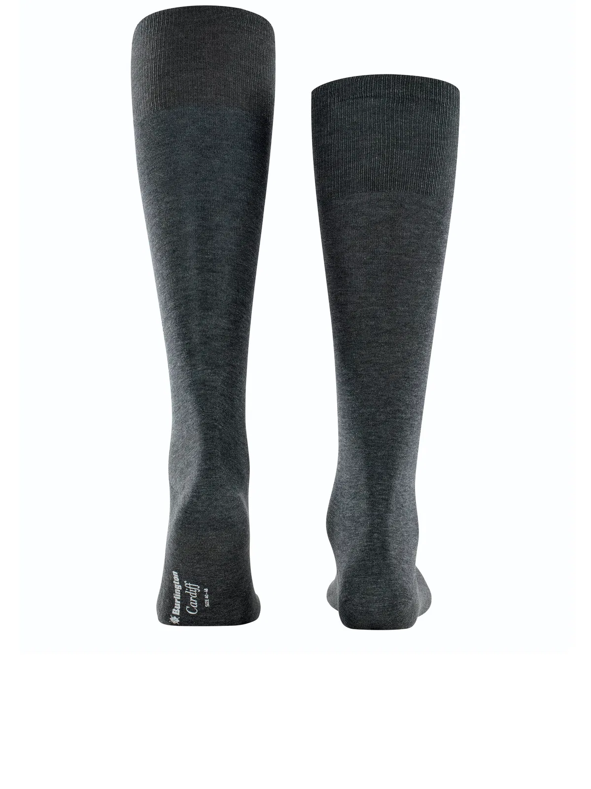 Burlington Cardiff Gambaletti