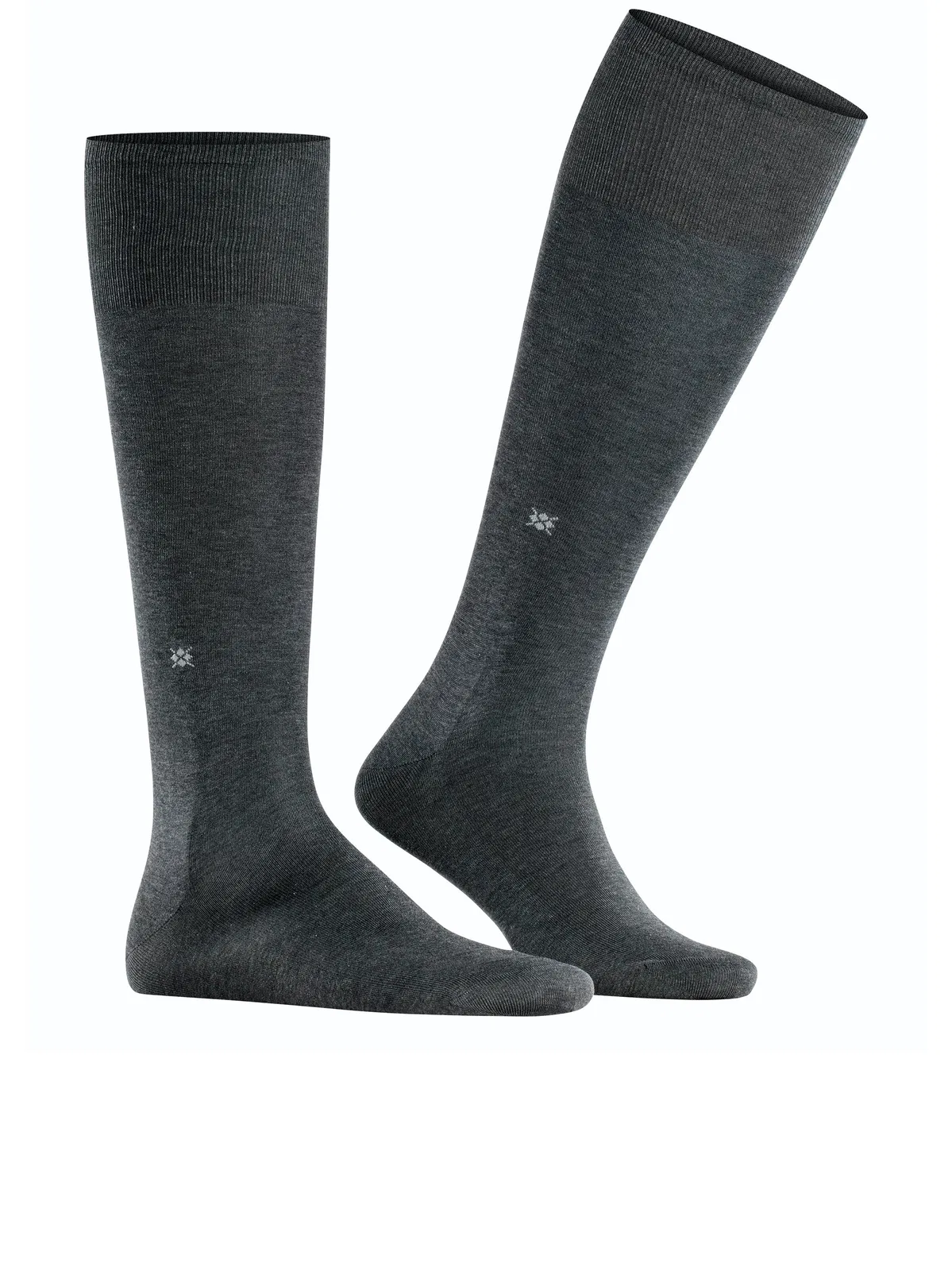 Burlington Cardiff Gambaletti