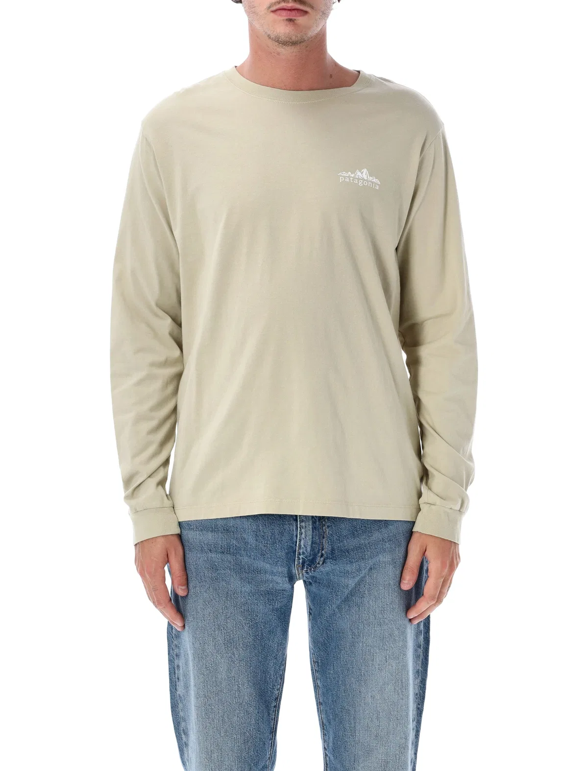 Patagonia Fitz Roy Foothills Long Sleeve T-Shirt