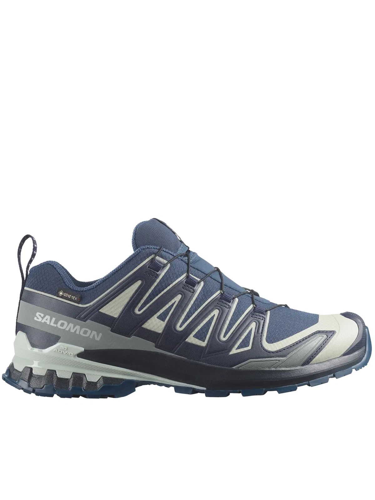 Salomon Xa Pro 3D V9 Gtx