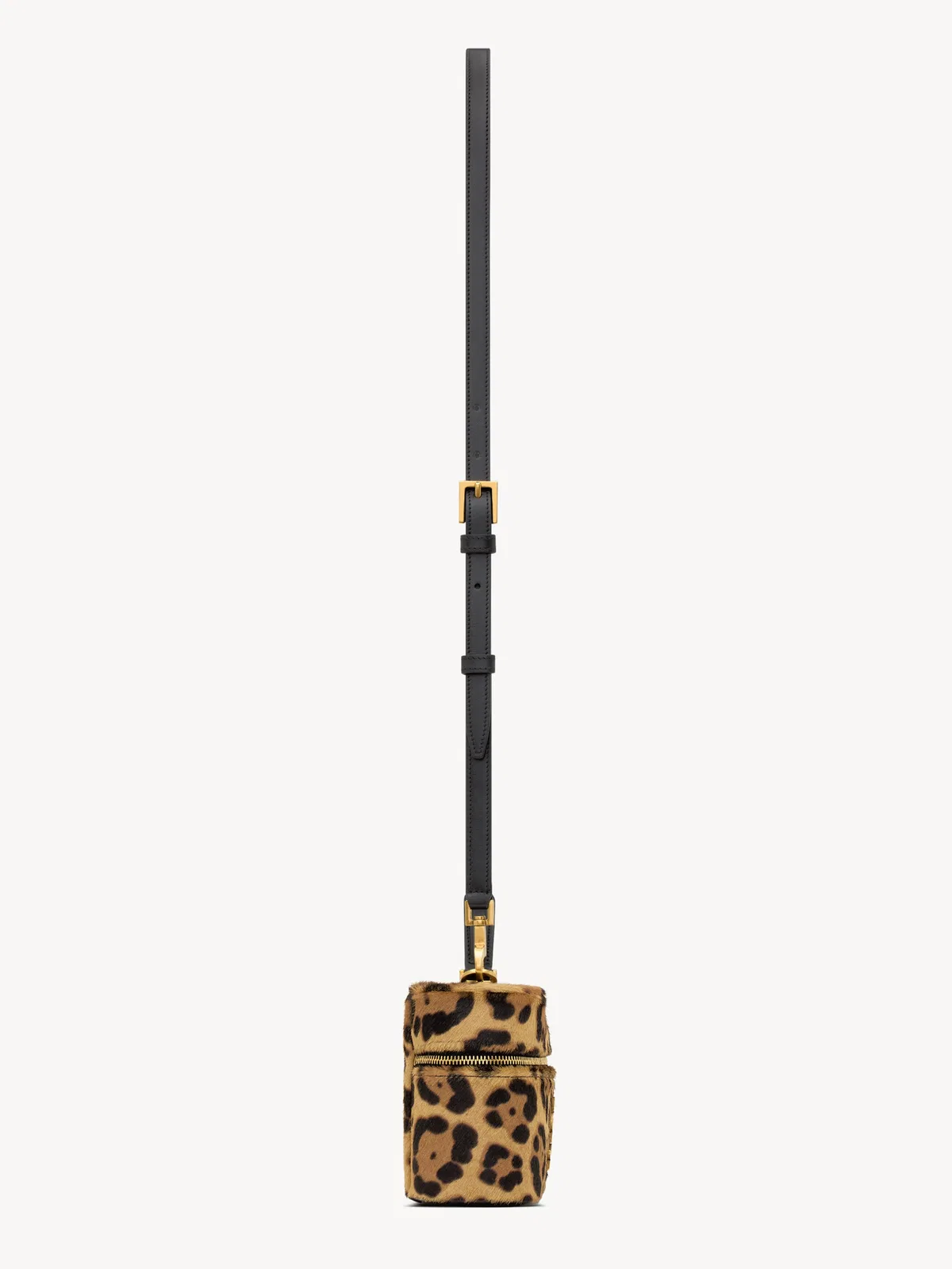 Saint Laurent Gaby Vanity Bag In Pony Skin