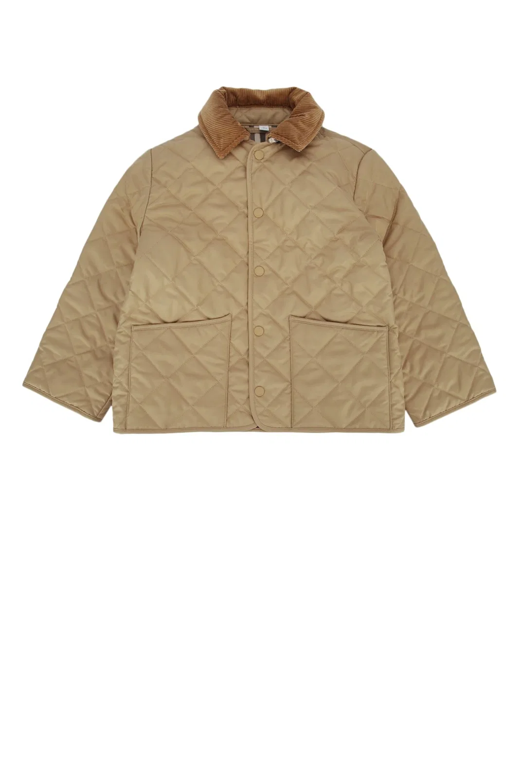Burberry Kids Kg6 Milo