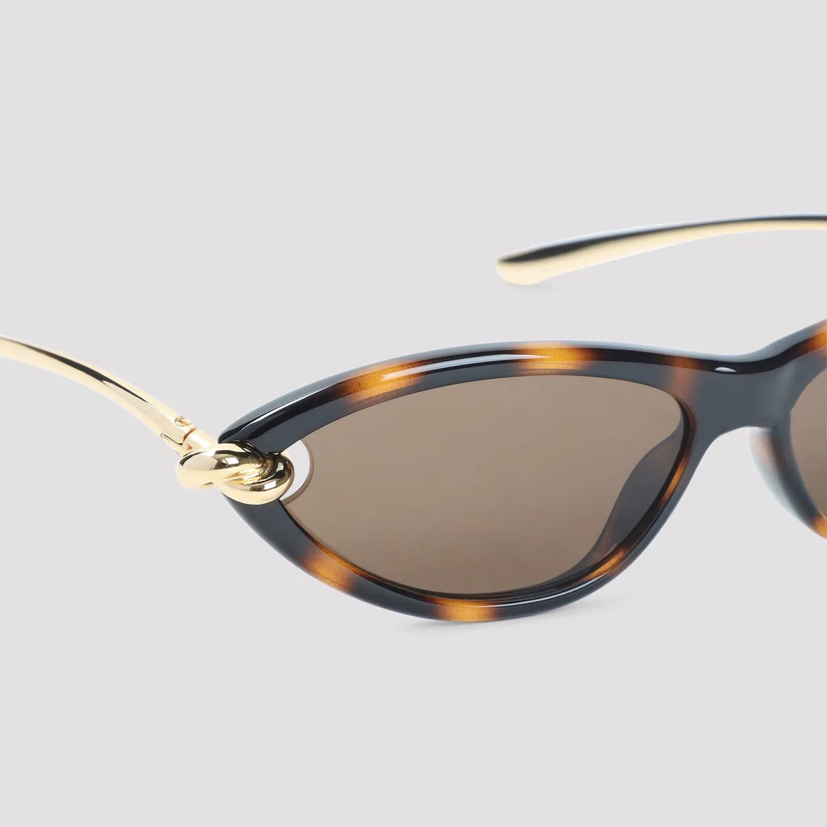 Bottega Veneta Havana Knot Cat Eye Acetate Sunglasses