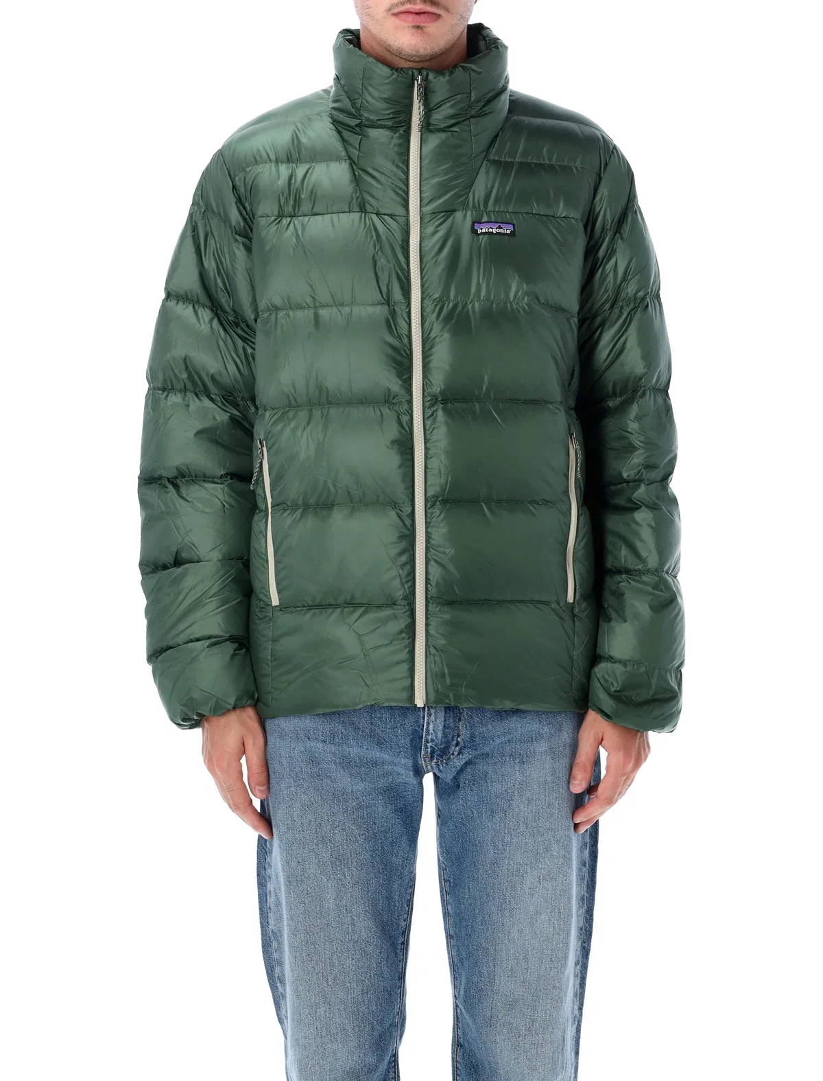 Patagonia Fitz Roy Down Jacket