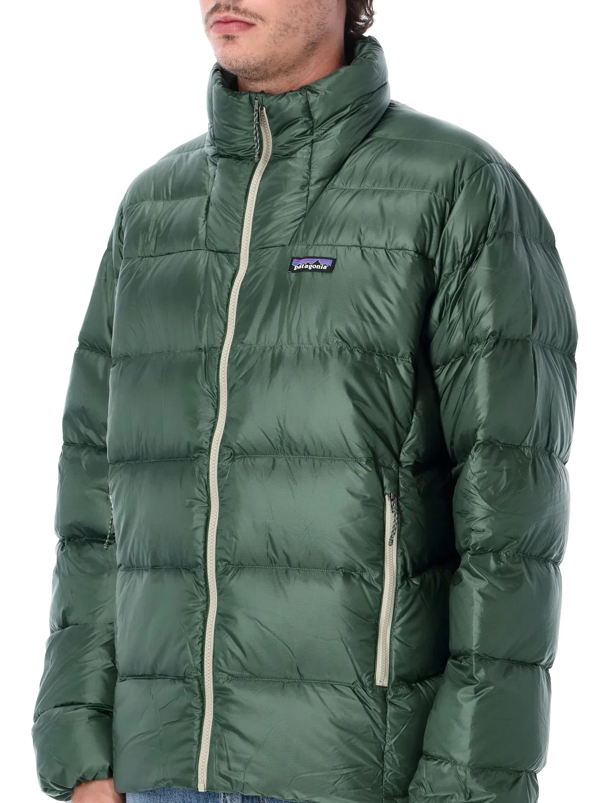 Patagonia Fitz Roy Down Jacket