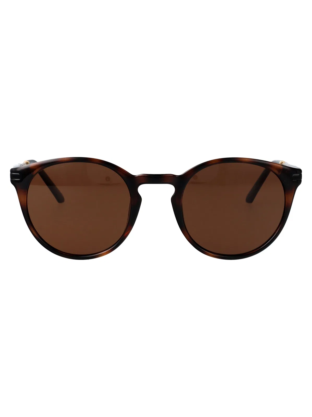 Calvin Klein Jeans Dark Tortoise Injected Sunglasses