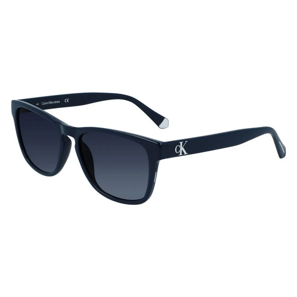 Calvin Klein Jeans Blue Injected Sunglasses