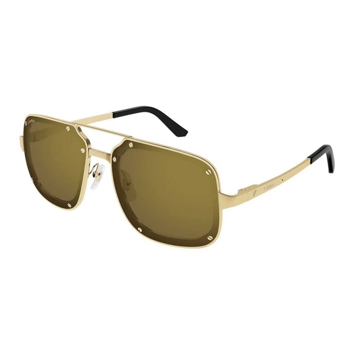 Cartier Ct0194s 006