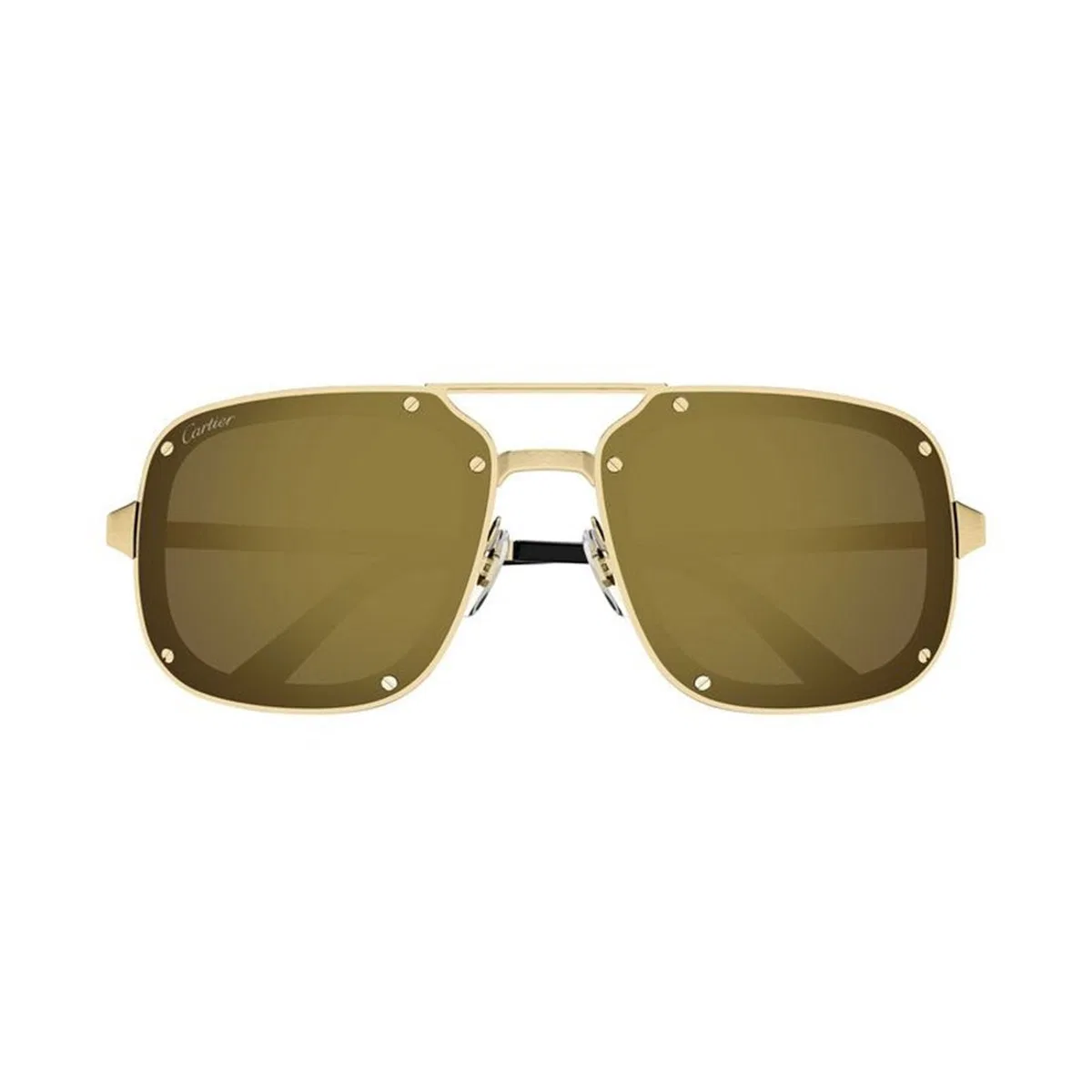 Cartier Ct0194s 006