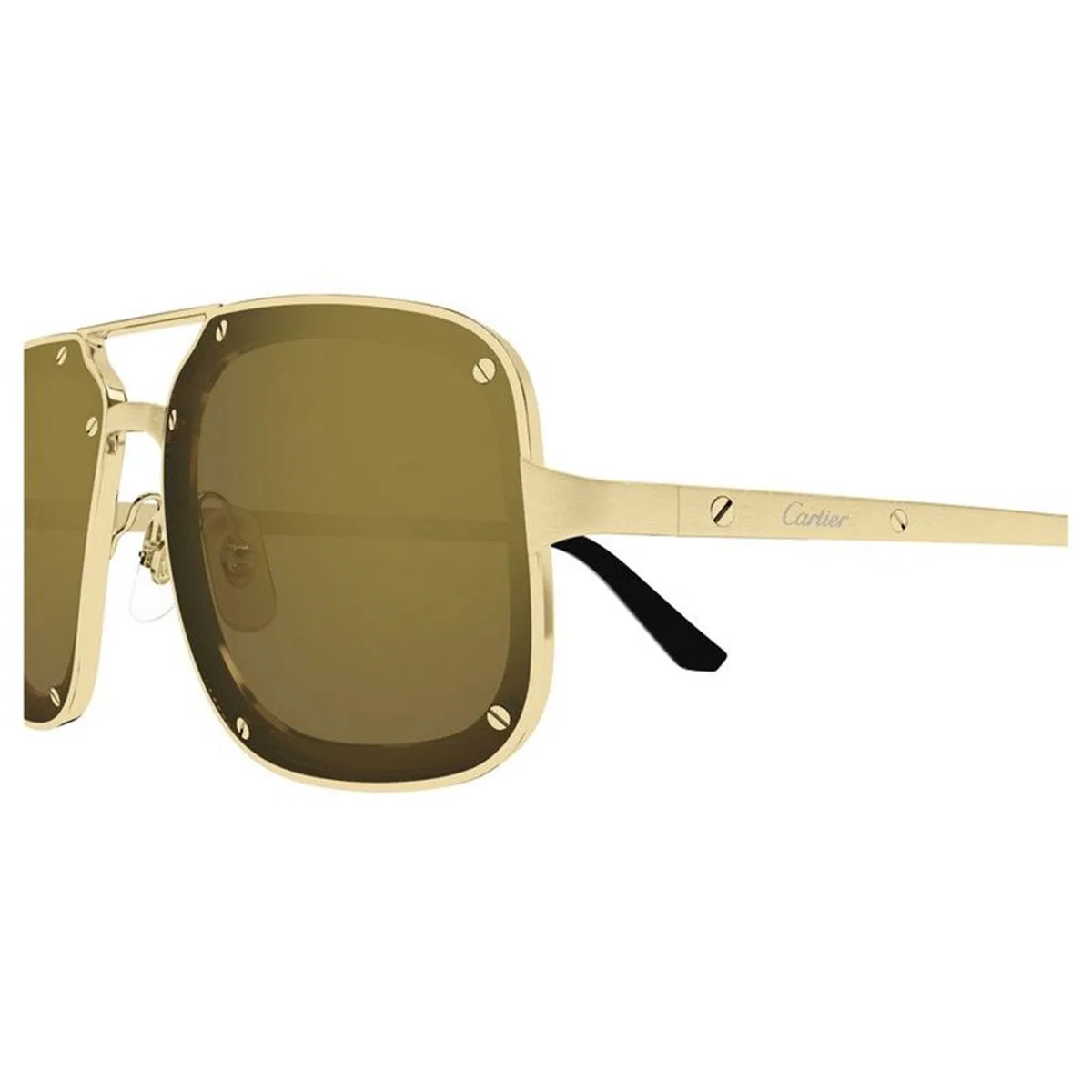 Cartier Ct0194s 006
