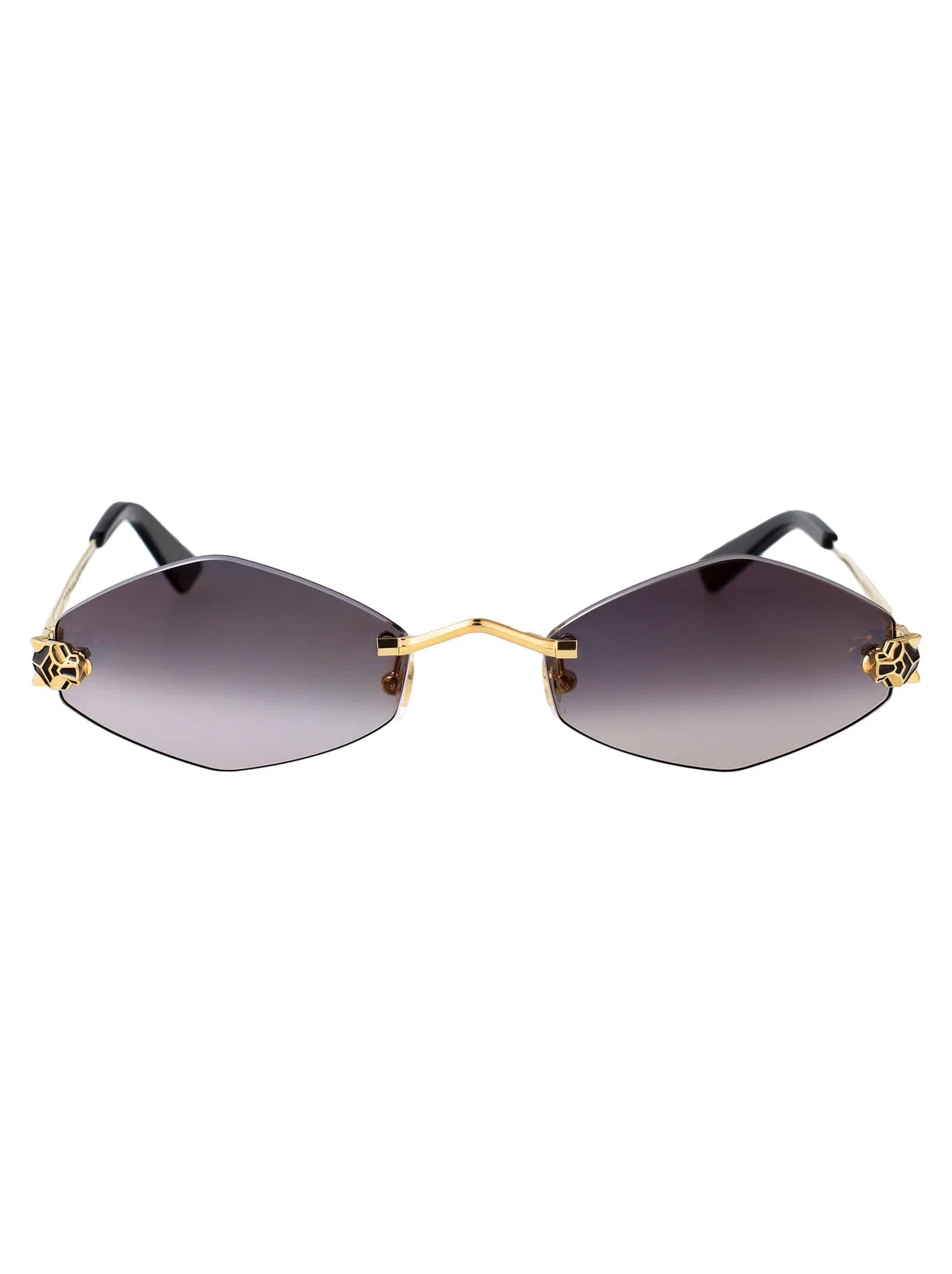 Cartier Ct0433s 001