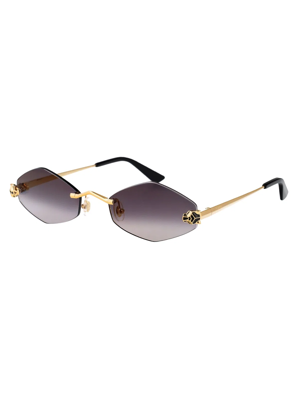 Cartier Ct0433s 001