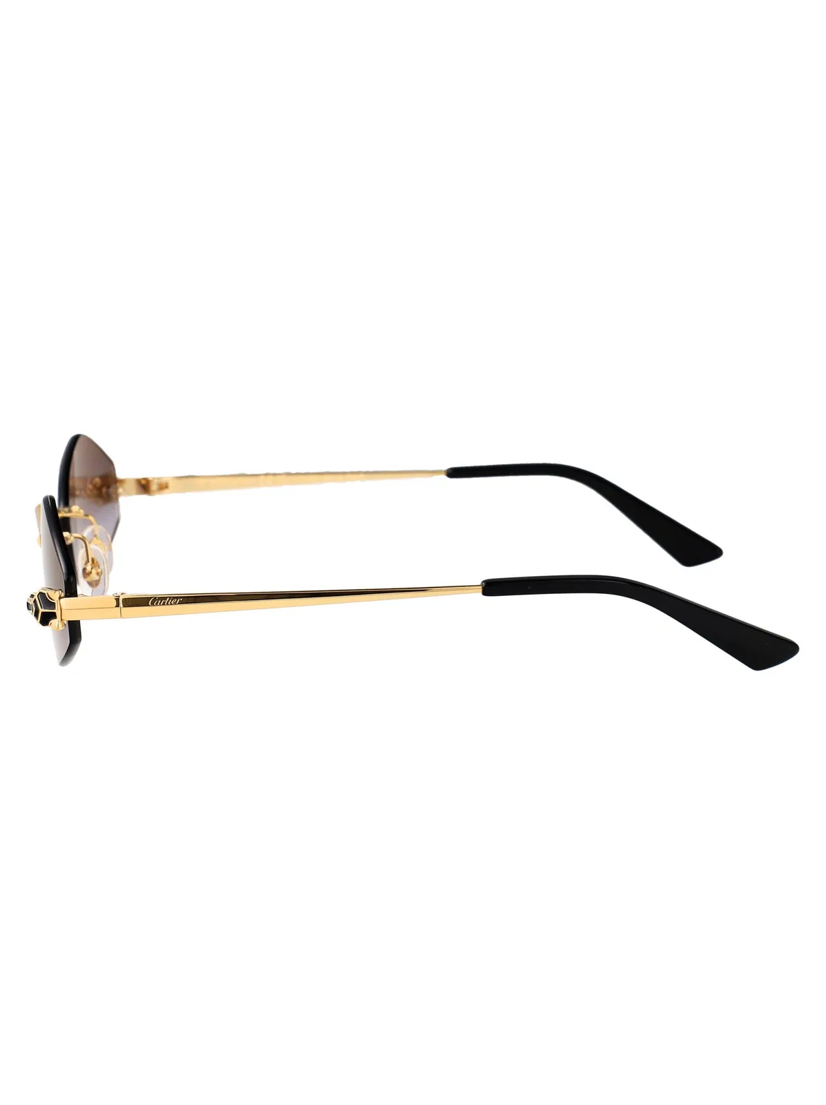Cartier Ct0433s 001