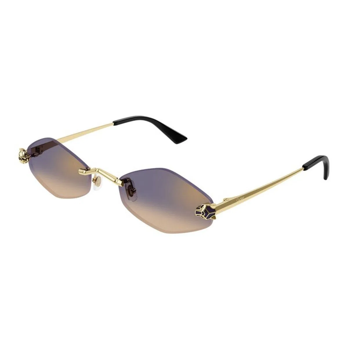 Cartier Ct0433s 005